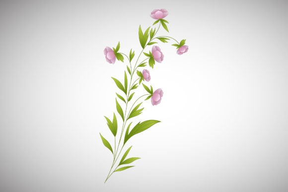 Download Flower Branch, Plant Leaves Illustration - Plant Collection