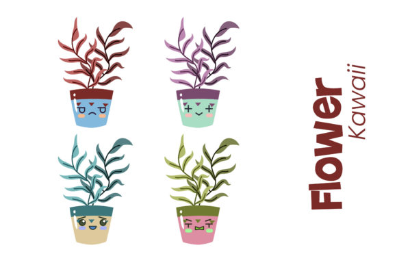 Download Plant Home Decoration - Plant Collection
